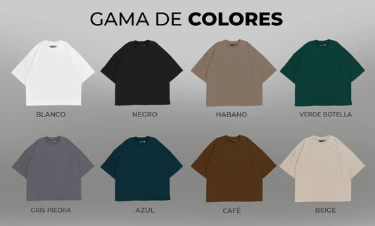 1 CAMISETA BOXY FIT PREMIUM